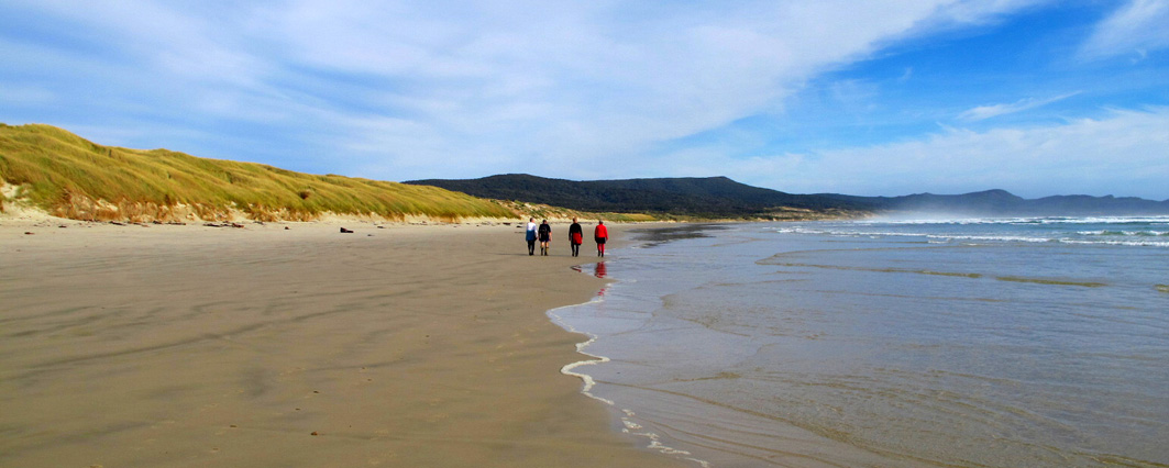 Clients on Mason Bay Beach, Stewart Island