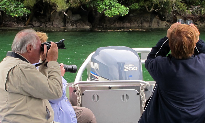 Aihe Eco Charters &  Water Taxi - Clients Watching Cormorants at Nest Site