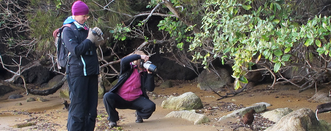 Ruggedy Range Wilderness Experience clients taking photos on Ulva Island