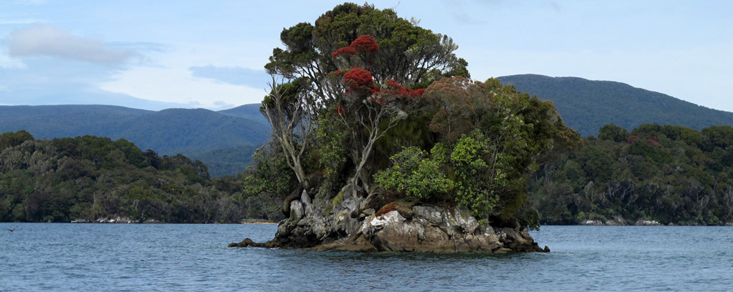 Nugget in Paterson Inlet, Stewart Island