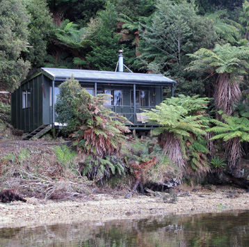 Freds Camp Hut, Stewart Island