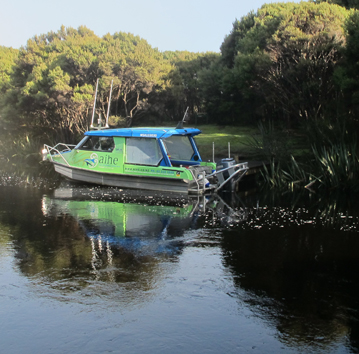 Aihe Eco Charters & Water Taxi at Freshwater Landing