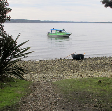 View from Hapuatuna Hunter's Hut