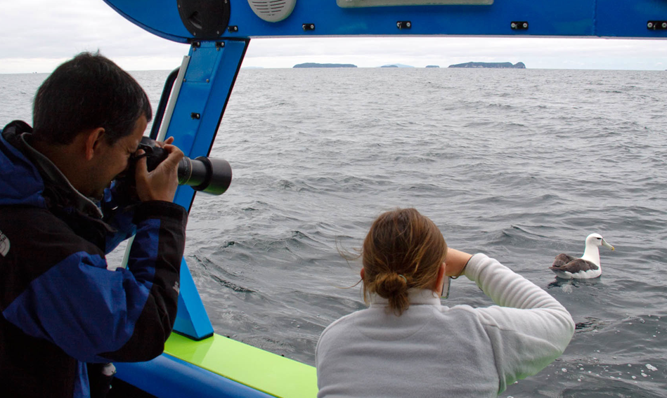 Aihe Eco Charters & Water Taxi - Clients on Pelagic Birding, Stewart Island