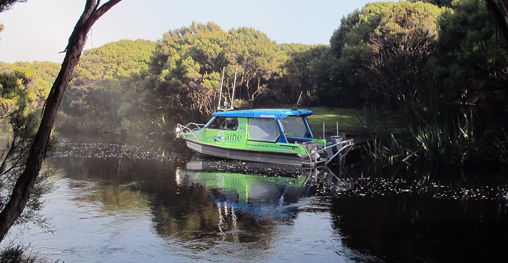 Aihe Eco Charters & Water Taxi at Freshwater Landing, Stewart Island