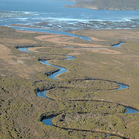 Freshwater River, Stewart Island