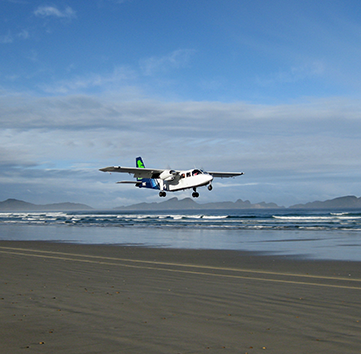 Mason Bay, Stewart Island